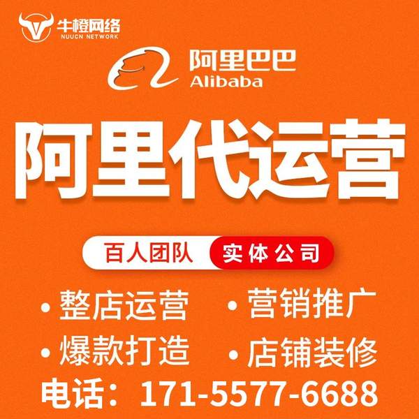 长葛电商代运营