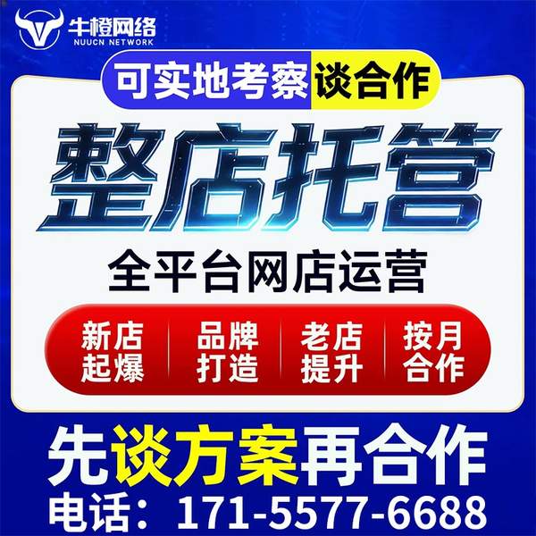 长葛电商代运营