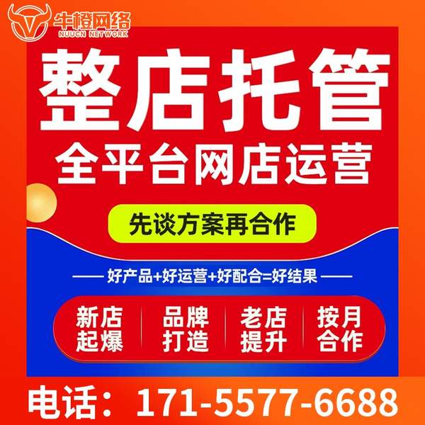 长葛电商代运营