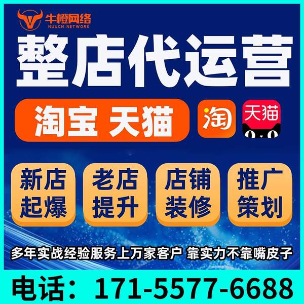 长葛电商代运营