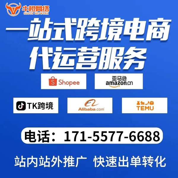 长葛电商代运营