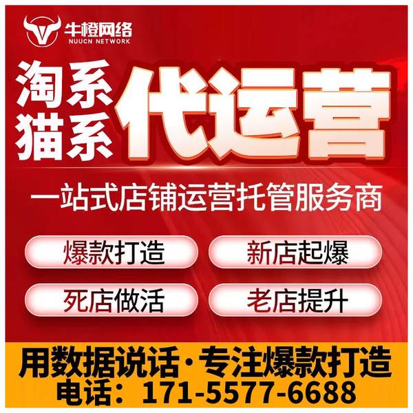 长葛电商代运营